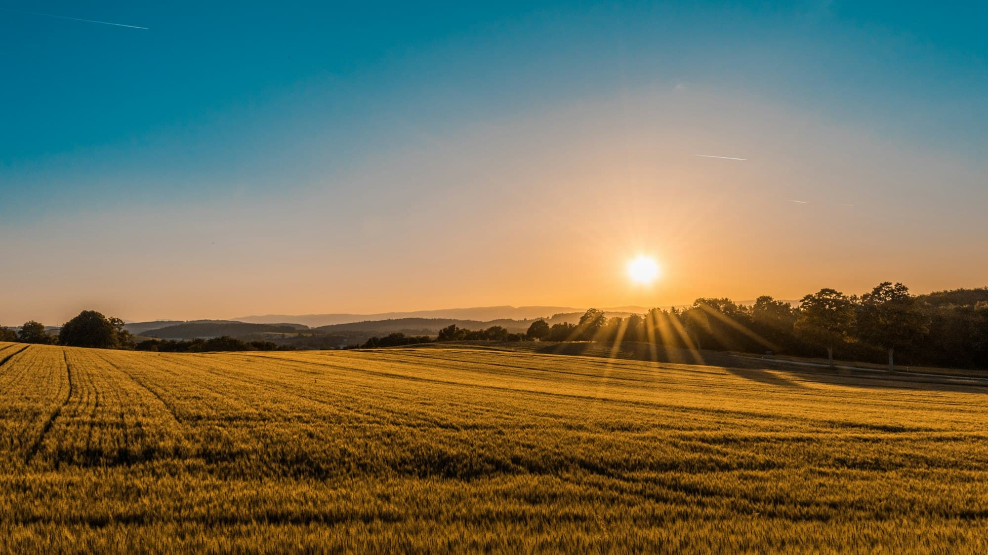 Northeast landscape background
