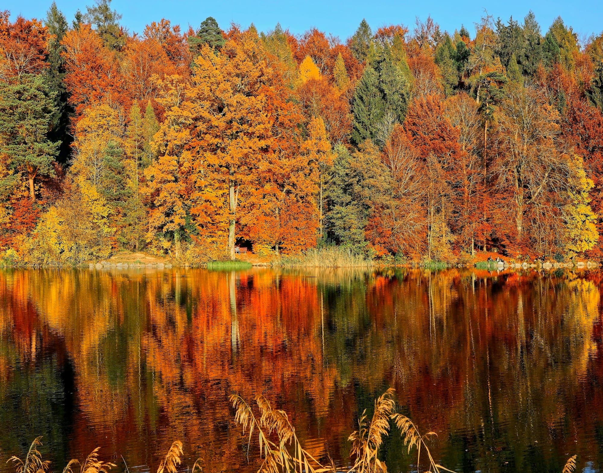 Northeast autumn foliage with lake reflection